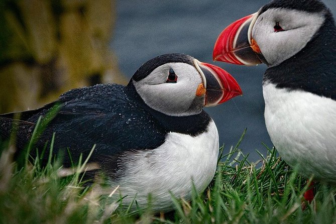 Private Tour: South Coast of Iceland by SUV or Van from Reykjavik - Food, Timing, and the One-Day Reality Check