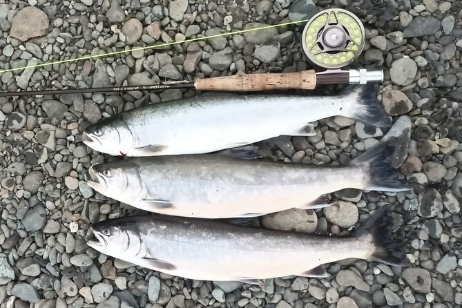 Private Trout and Char Fishing in Icelandic Serenity Experience - Spinning gear: worms and lures when you want fast feedback