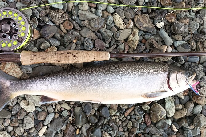 Private Trout and Char Fishing in Icelandic Serenity Experience - What fish you are actually targeting