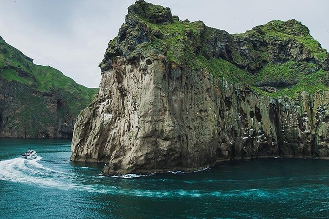 Private Westman Islands with Puffins and Belugas (Lunch included) - Eldfell Volcano views: why the island grew again