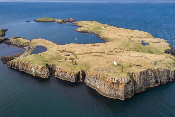 Puffin and Wildlife Boat Tour - Boat tour feel: small group, focused guidance