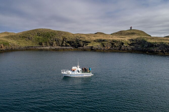 Puffin and Wildlife Boat Tour - What to bring (and what to plan for)
