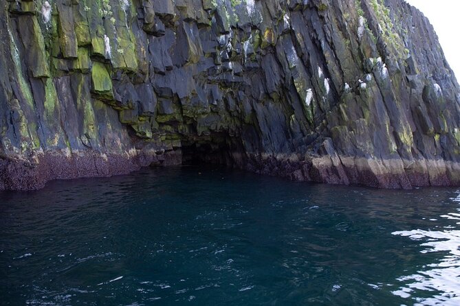Puffin and Wildlife Boat Tour - Who this tour fits best (and who might prefer something else)