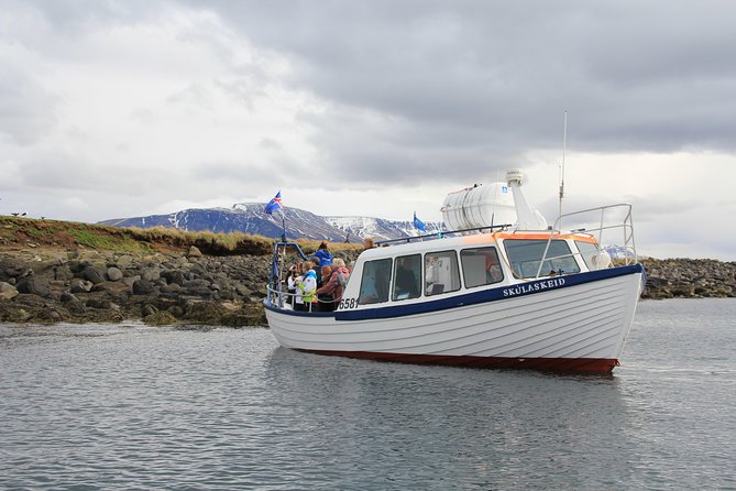 Puffin Cruise with Expert Tour Guide from Reykjavik - Reykjavik Puffins to Akurey: A 1-Hour Sea Bird Break That Works