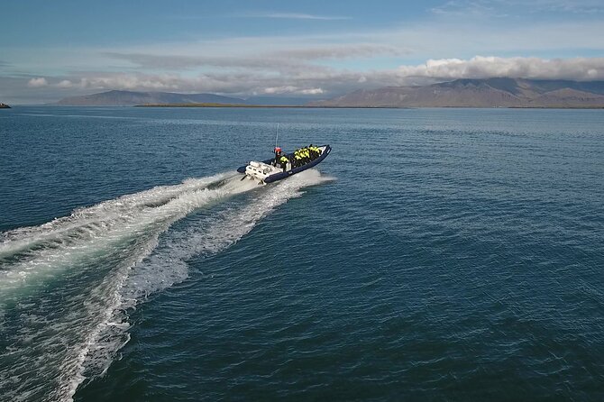 Puffin Express by RIB Speedboat from Reykjavík - What actually happens in the 1 hour on the water