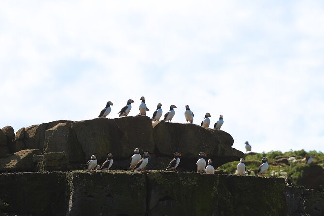 Puffin Jet ski tour in Reykjavík - Where you start on Gufunesvegur, and how pickup actually helps