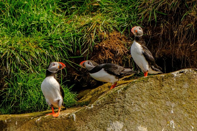 Puffin Watching Speedboat Express - The gear setup: warm waterproofs, goggles, and a lifejacket