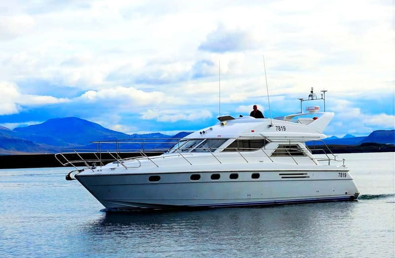 Puffin Watching Yacht Cruise from Downtown Reykjavík - Weather Dependence and Captain Decisions: The Reality You Should Respect