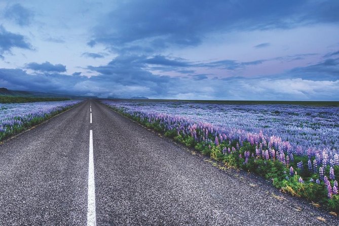 Rent Unlimited High Speed pocket Wifi in Iceland - Speed, Signal, And Reliability: What The Reviews Indicate
