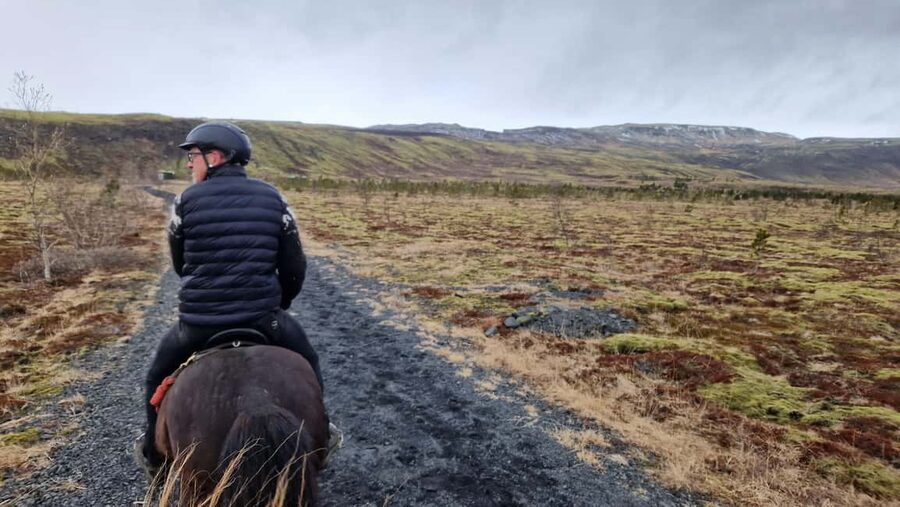Reykjadalur: Horseback Riding Tour for Families & Beginners - Key highlights you’ll feel right away