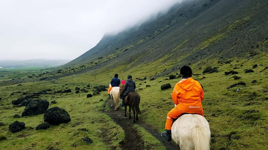 Reykjadalur: Horseback Riding Tour for Families & Beginners - Practical tips: what to wear and what to skip