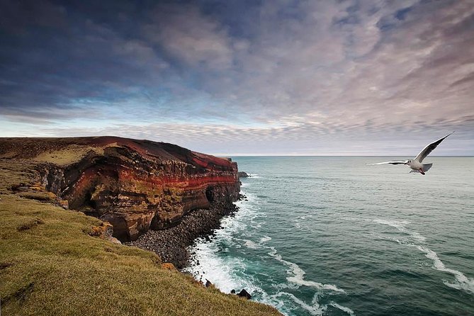 Reykjanes Peninsula + Lava fields - Krýsuvíkurberg Cliffs: seabirds, nesting sites, and a short trail