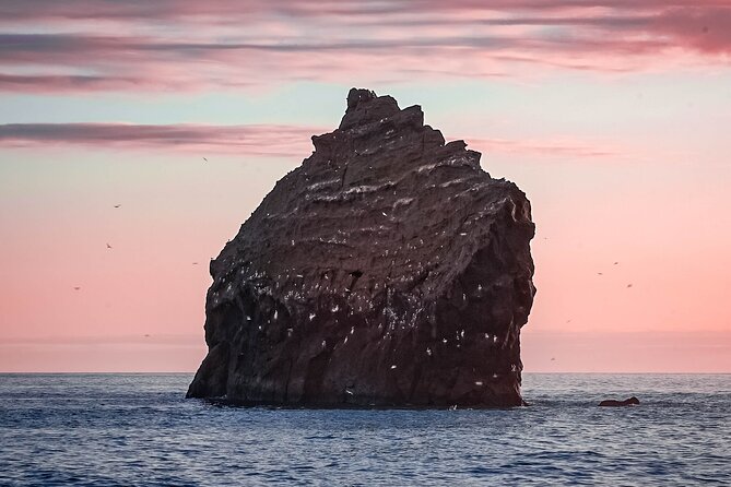 Reykjanes Peninsula Private tour Iceland - Reykjanes in a few hours: why this area is worth your time