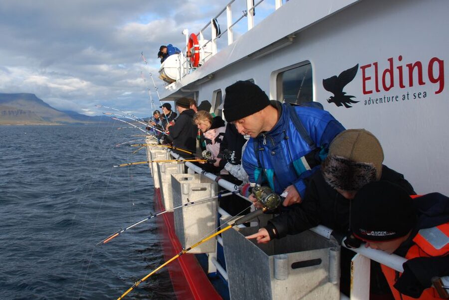 Reykjavik: 3-Hour Sea Angling Gourmet Experience Tour - Onboard BBQ: homemade sauce, potatoes, and no waiting