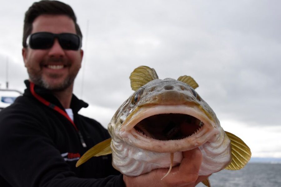 Reykjavik: 3-Hour Sea Angling Gourmet Experience Tour - Seasickness and weather reality check