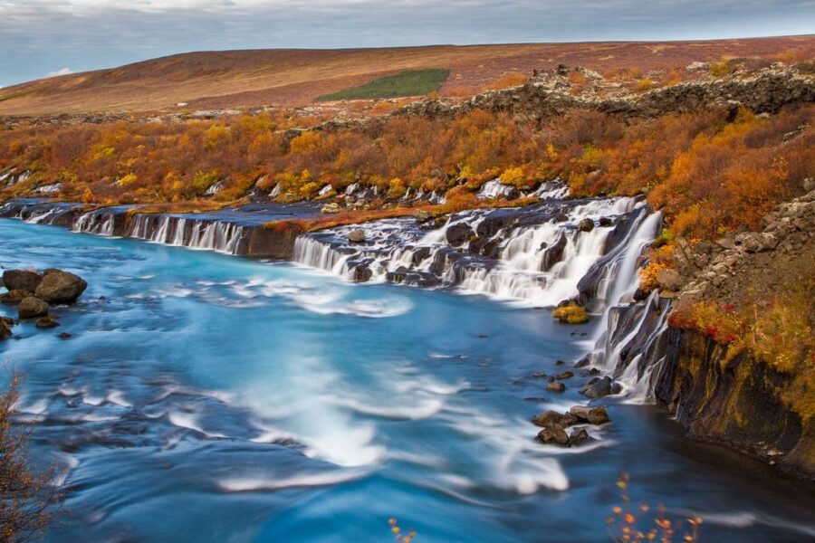 Reykjavik: 8-Day Small Group Circle of Iceland Tour - East Fjords on the Search Trail: Wildlife Odds and Lake Monster Lore