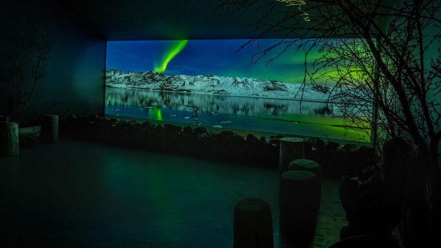 Reykjavik: Aurora Reykjavik The Northern Lights Center Entry - Where You Go: Grandi Harbour Location and a Quick City-Center Start