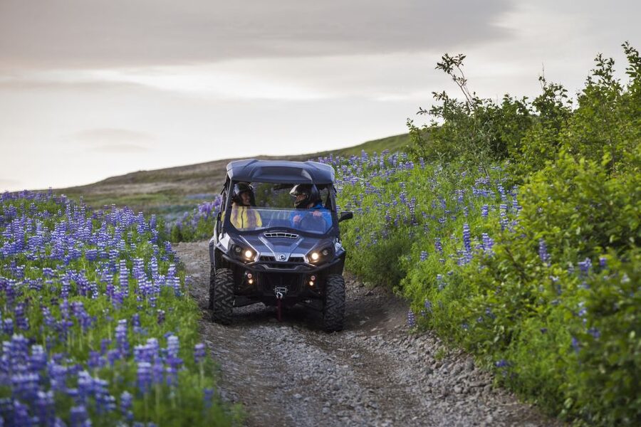 Reykjavik: Buggy Safari Tour with Hotel Transfers - Weather and practical tips so you stay comfortable