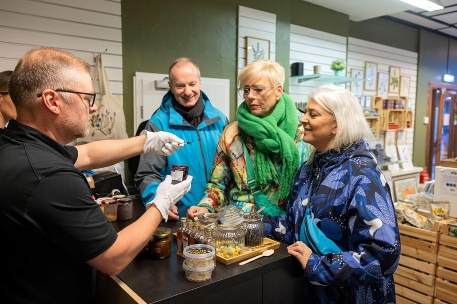 Reykjavik Christmas Walking Tour - Price and what $74 really buys you