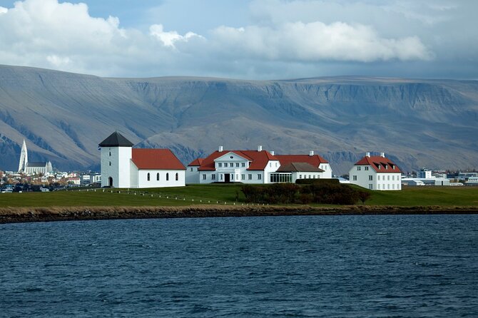 Reykjavik City Private Tour - Hallgrímskirkja: Reykjavik’s Tall Tower Views and Leifur Eiríksson Statue