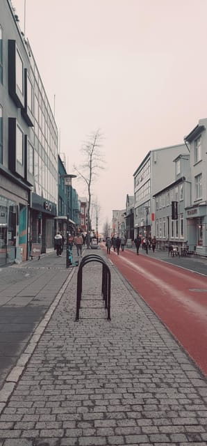 Reykjavik City Private Tour: Perlan, Arbaer & City Landmarks - Key things you get on this Reykjavik private route