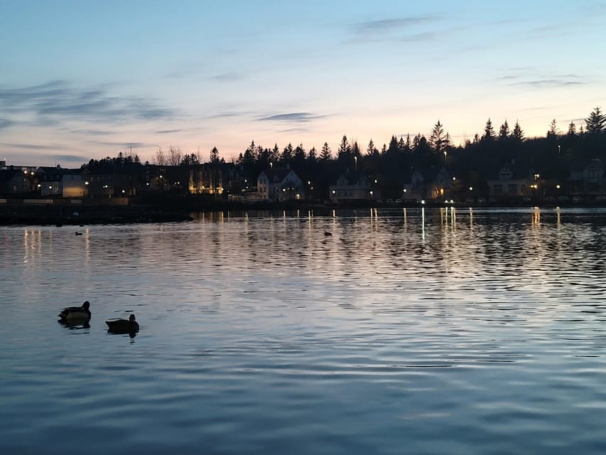 Reykjavik City Private Tour: Perlan, Arbaer & City Landmarks - Should you book this Reykjavik City Private Tour?