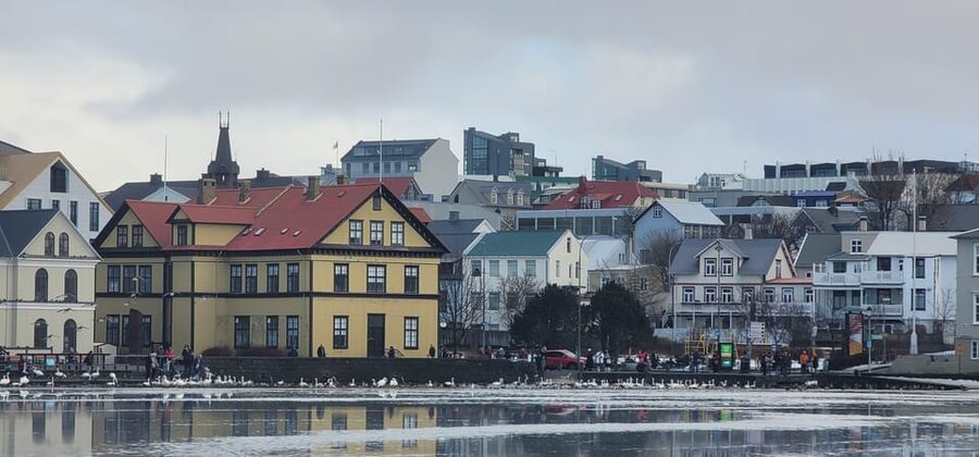Reykjavik City Private Tour: Perlan, Arbaer & City Landmarks - Perlan: observation deck, Wonders of Iceland, and the ice cave experience