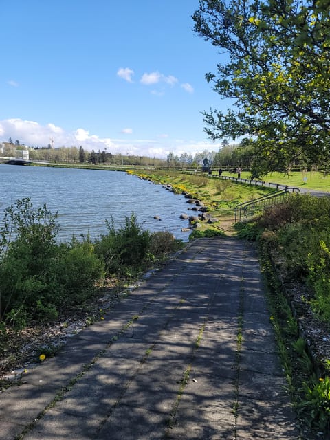 Reykjavik City Private Tour: Perlan, Arbaer & City Landmarks - Who this Reykjavik City Private Tour fits best