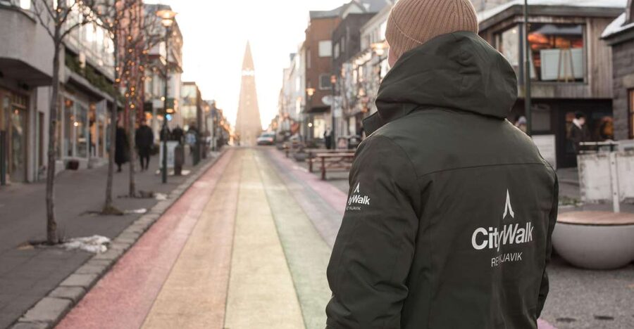 Reykjavik: City Walking tour in Small Group with Local Guide - Key things I found most useful