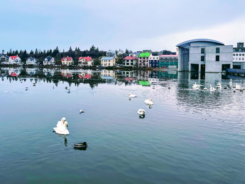 Reykjavik: City Walking tour in Small Group with Local Guide - Value Check: Why $51 Can Make Sense for First-Time Reykjavik