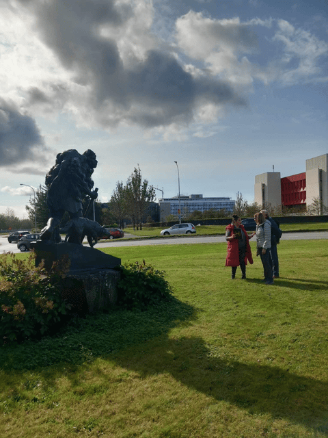 Reykjavik: Discover the Cultural Soul of Iceland - Lake Tjornin to the Old Streets: getting your bearings the right way