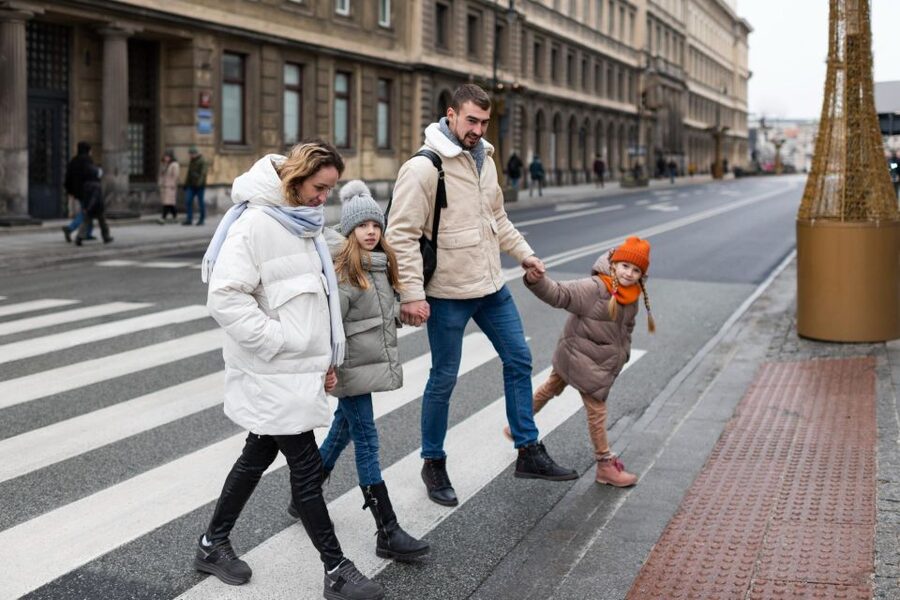 Reykjavik: Express Walk with a Local in 60 minutes - Group Size, Walking Pace, and Weather Reality