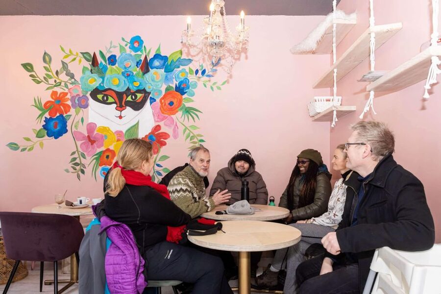Reykjavik: Feline-Focused City Walking Tour - Hallgrimskirkja Area and the Einar Jónsson Museum Finale