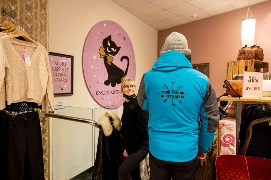 Reykjavik: Feline-Focused City Walking Tour - The Cat Celebrity Hunt: What You Might Spot Along the Way