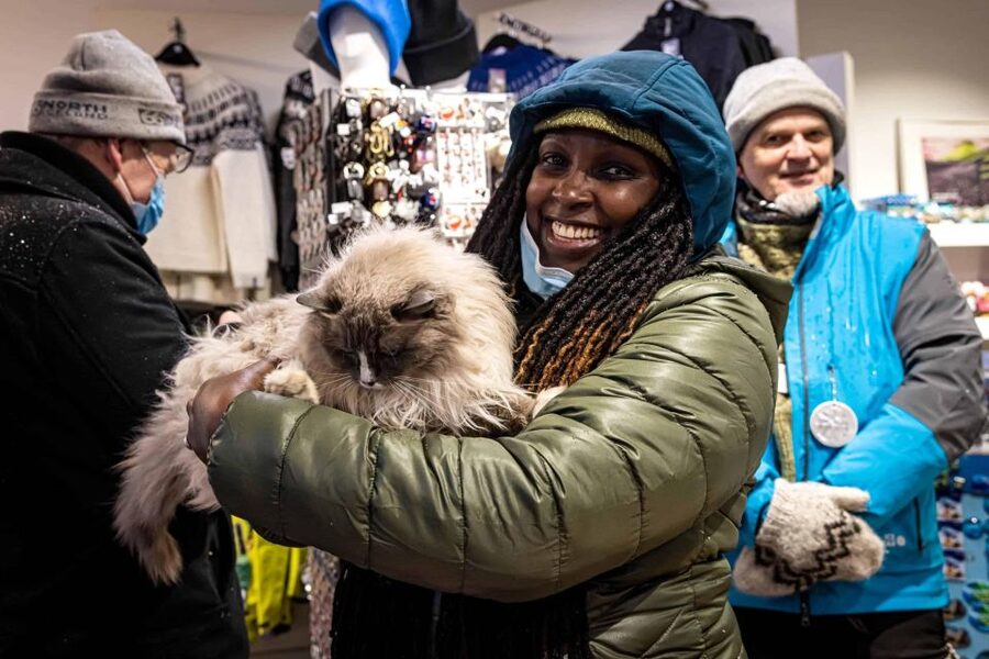 Reykjavik: Feline-Focused City Walking Tour - Finding Your Guide at Hlöllabátar by Ingólfstorg Square
