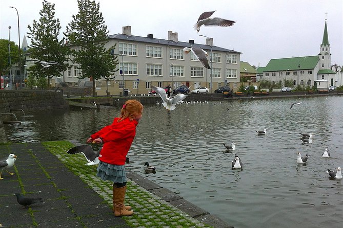 Reykjavik Food Tour and City Walk - PRIVATE TOUR - The old family-run restaurant tasting: fish-forward and lamb-forward