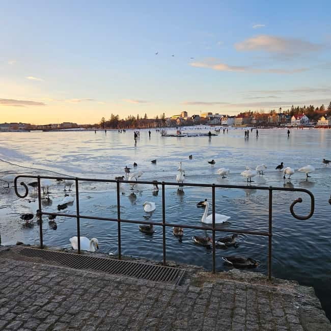 Reykjavik: Food Tour by locals - Old Harbor tastings: fish, regional classics, and why the guide matters