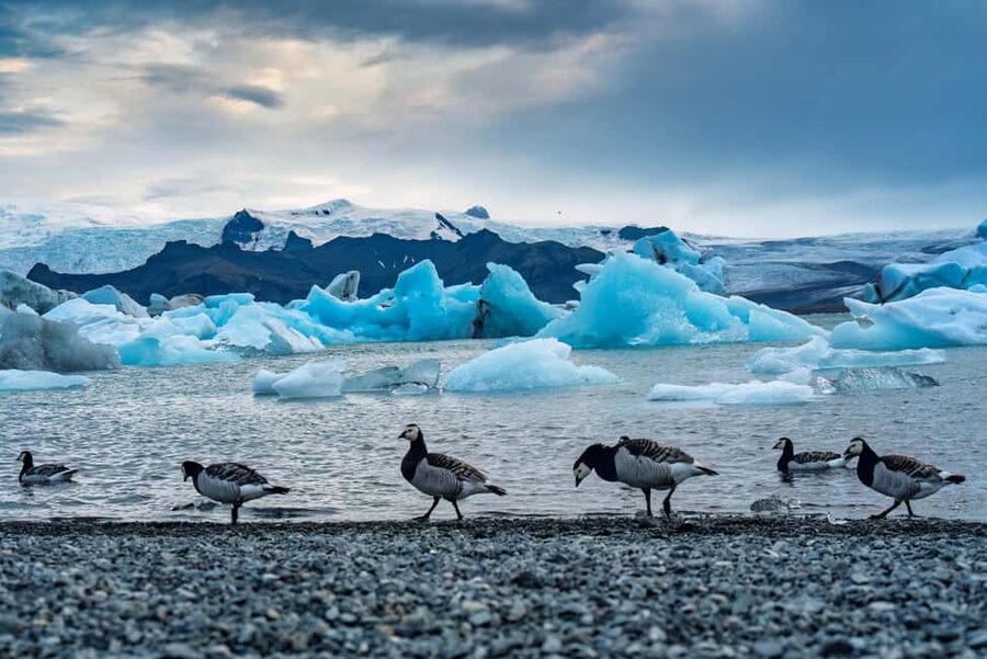 Reykjavik: Glacier Lagoon, Diamond & Black Beach 冰岛冰河湖中文一日团 - Seljalandsfoss and the waterfall spray you feel in your clothes