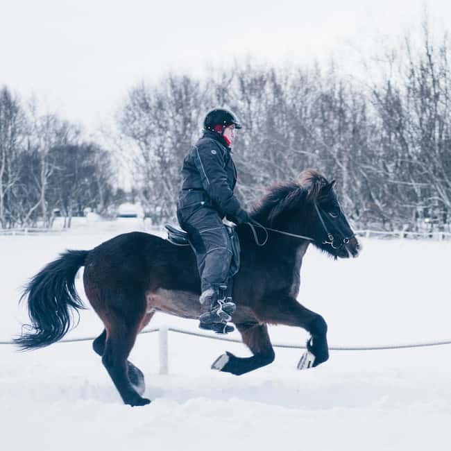 Reykjavik: Golden Circle, Farm & Sky Lagoon Small-Group Tour - Should you book this Golden Circle and Sky Lagoon tour?