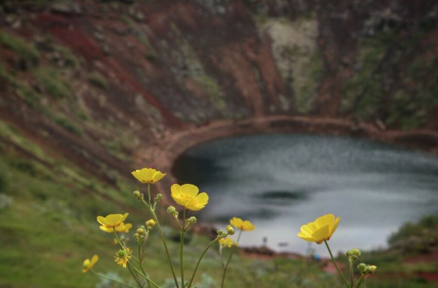 Reykjavík: Golden Circle Geological Jeep Day Trip - Who This Jeep Day Trip Fits Best