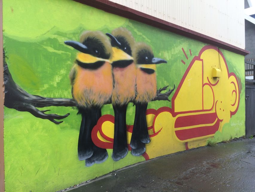 Reykjavik: Guided City Walking Tour - Laugavegur and Austurvöllur: the city center at walking speed
