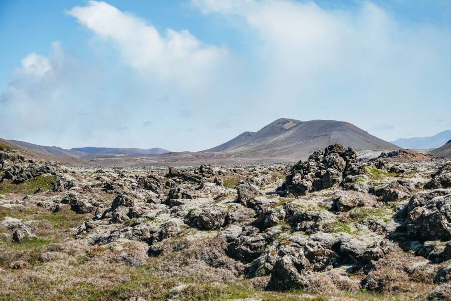 Reykjavik: Guided Tour to Volcano and Reykjanes Geopark - Grindavík Fishing Village: tectonic rifts and the human side of eruptions
