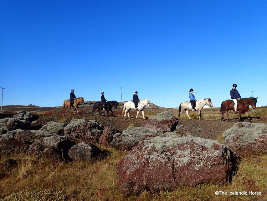 Reykjavík: Horse Riding Tours - Key Things You Will Notice on This Ride