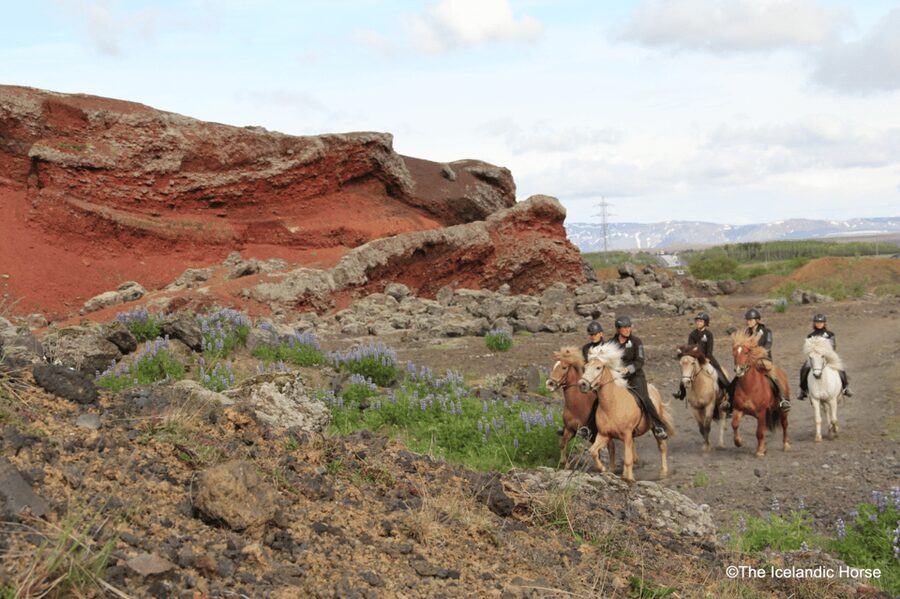 Reykjavík: Horse Riding Tours - What’s Included: Gear That Helps in Iceland’s Quick Weather