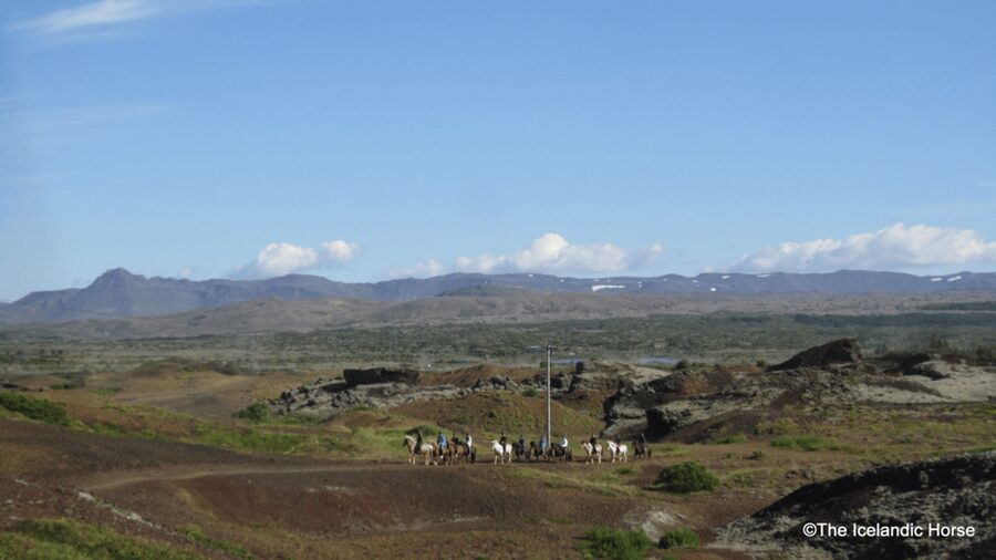 Reykjavík: Horse Riding Tours - The Ride Itself: Volcanic Ground, Redhill Views, and Real Iceland Scale
