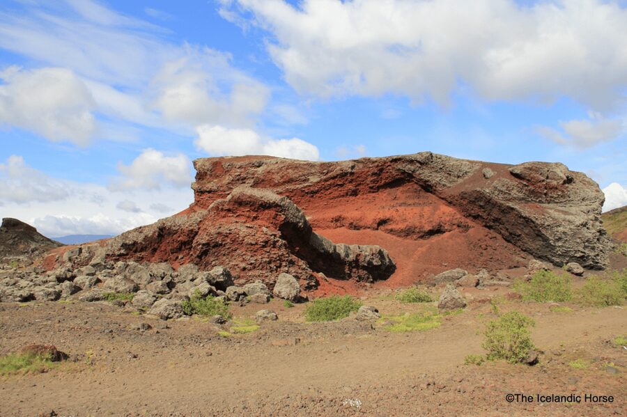 Reykjavík: Horse Riding Tours - Finding the Meeting Gate and Settling In Fast