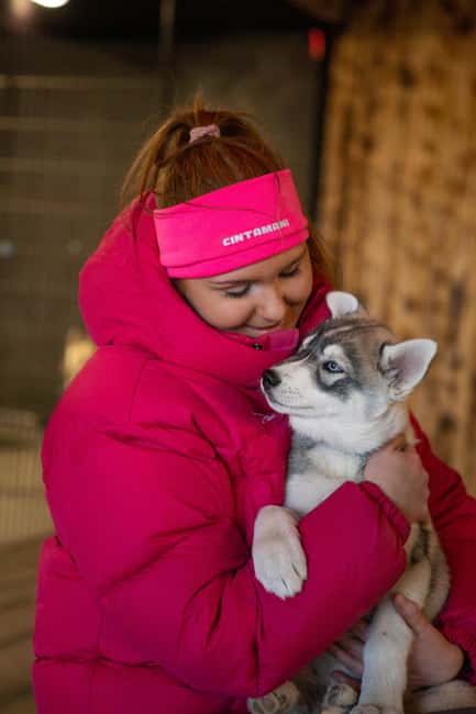 Reykjavík: Husky Kennel Visit with Hot Drinks - Key Points to Know Before You Go