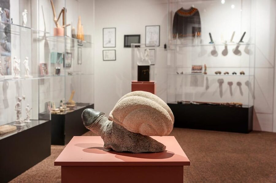 Reykjavik: Icelandic Phallological Museum Entry Ticket - Your Ticket: $28 Worth It, Plus Café Access