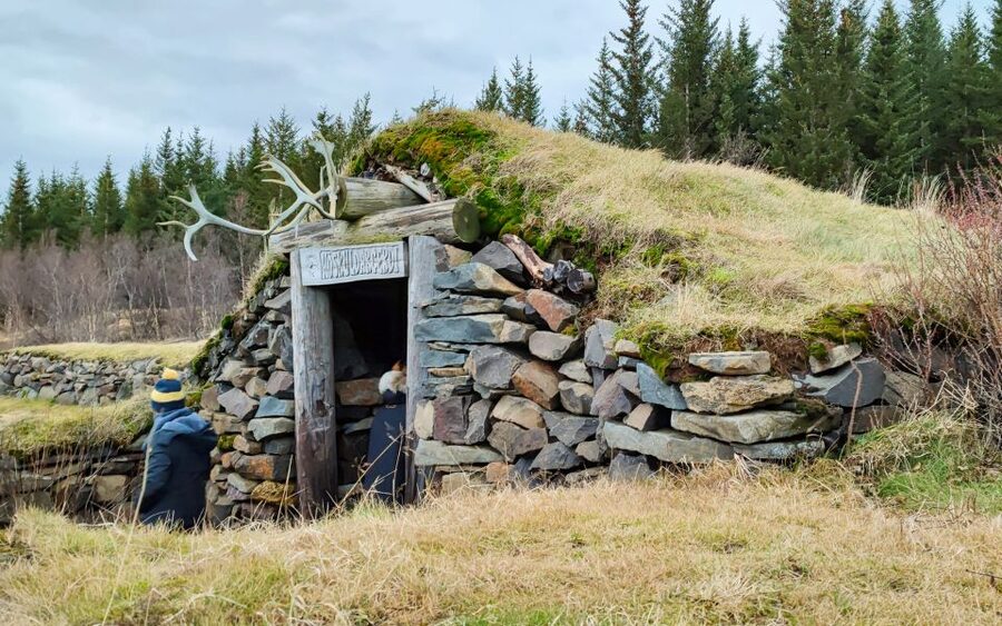 Reykjavik: Lava Cave, Hot Springs, Horses & Waterfalls Tour - Price and value: what $222 is buying you in real terms