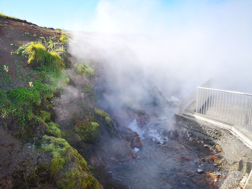 Reykjavik: Lava Cave, Hot Springs, Horses & Waterfalls Tour - Sturlureykir Horse Farm and the rugbrauð break you will actually remember